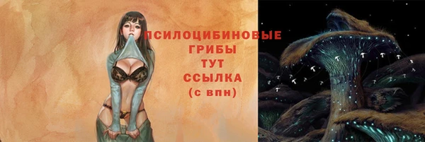 крисы Беломорск