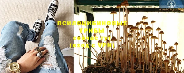 крисы Беломорск