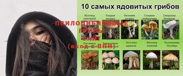 крисы Беломорск